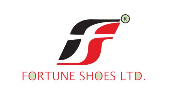 fortune-shoe