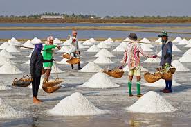 Salt-Farmer